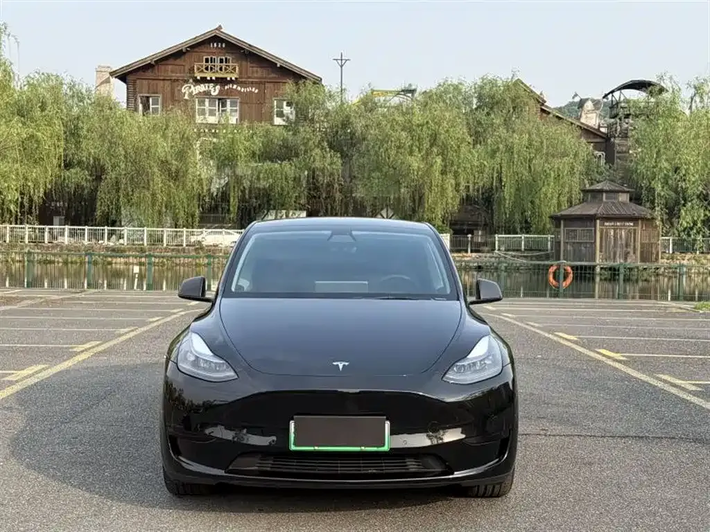 Tesla Model Y — фото 10