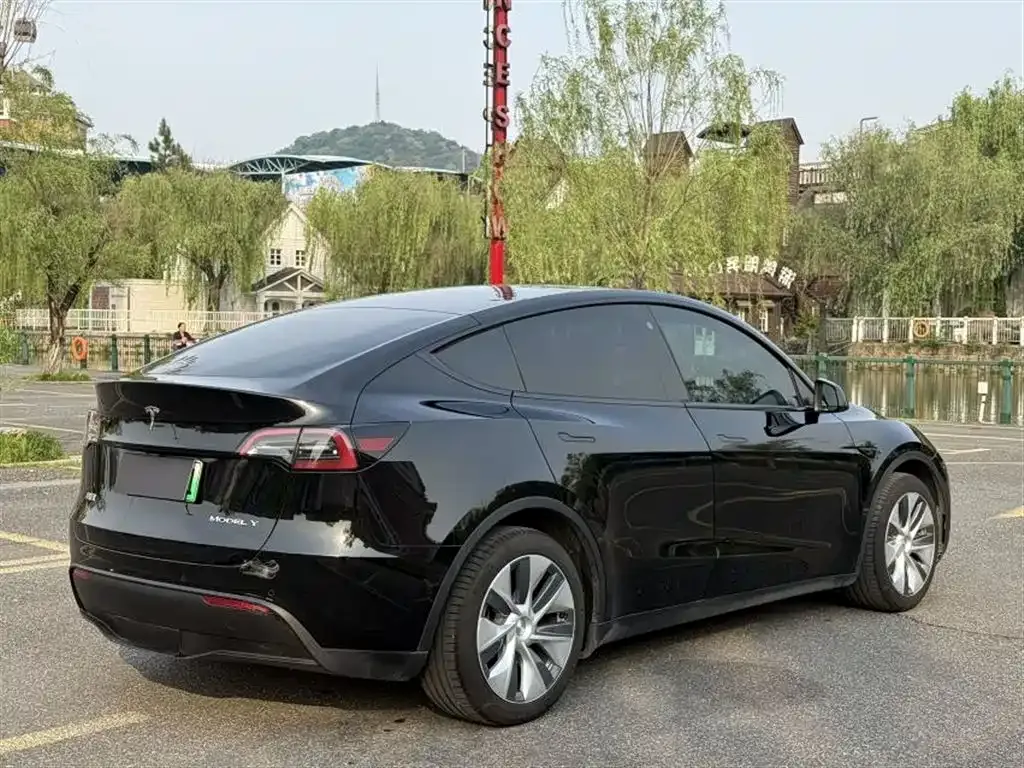 Tesla Model Y — фото 9