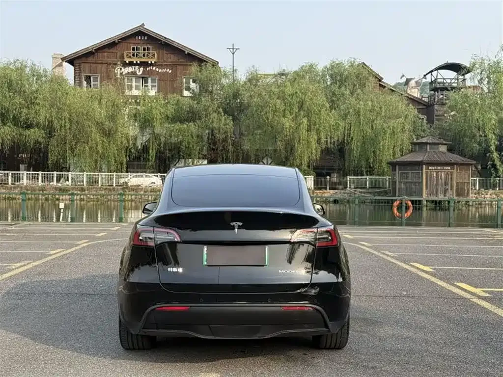 Tesla Model Y — фото 5