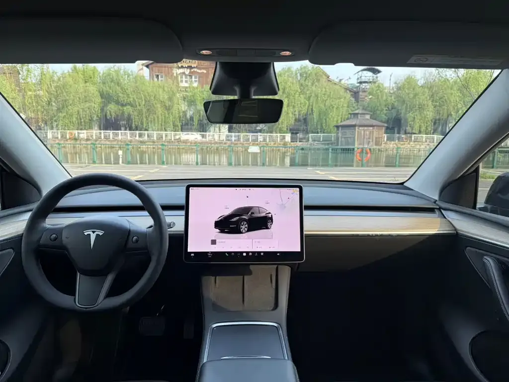 Tesla Model Y — фото 2