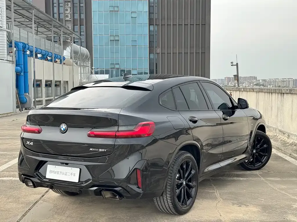 BMW X4 — фото 6