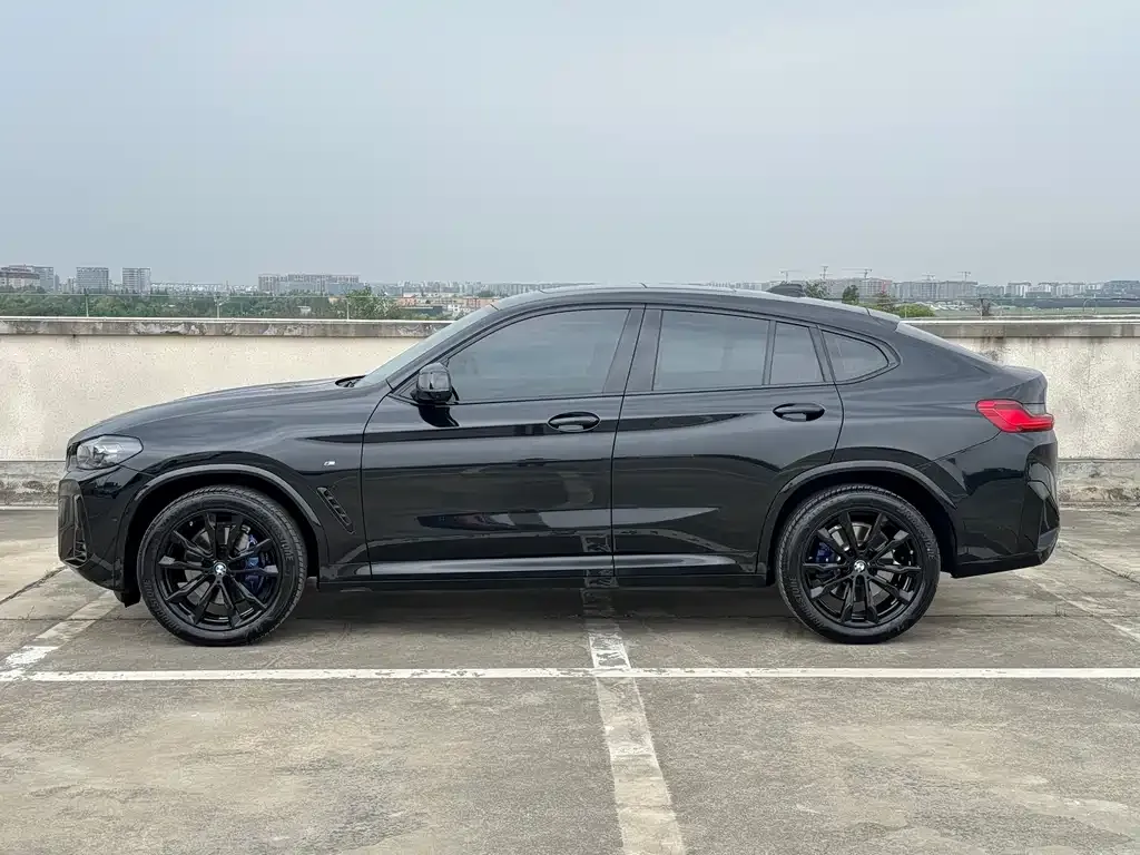 BMW X4 — фото 10