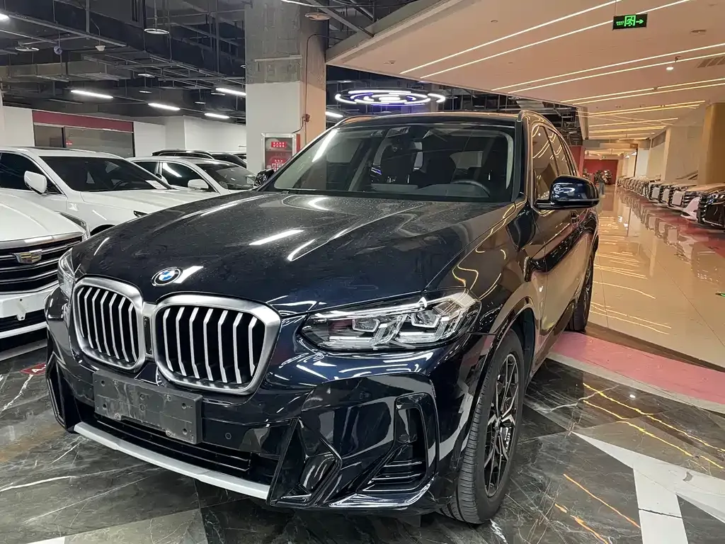 BMW X3 — фото 1