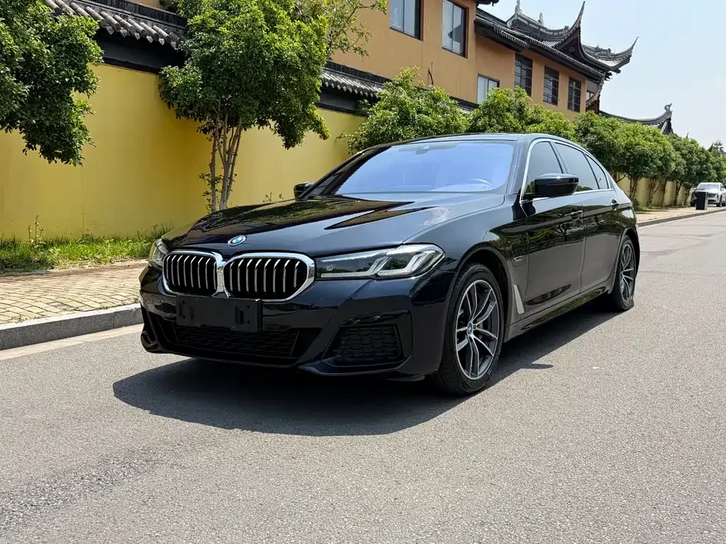 BMW 5 Series New Energy — фото 1