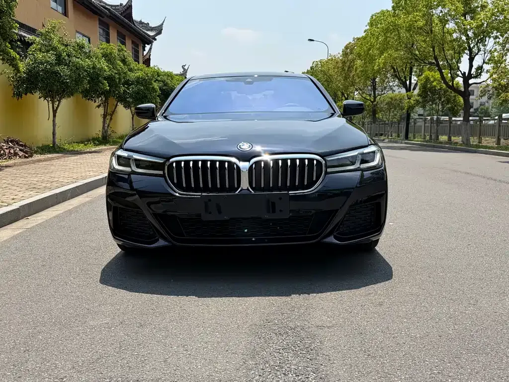 BMW 5 Series New Energy — фото 7
