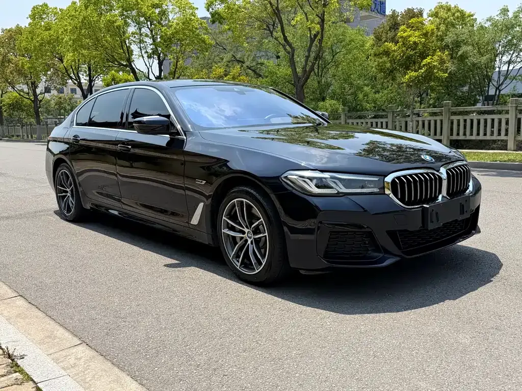 BMW 5 Series New Energy — фото 9