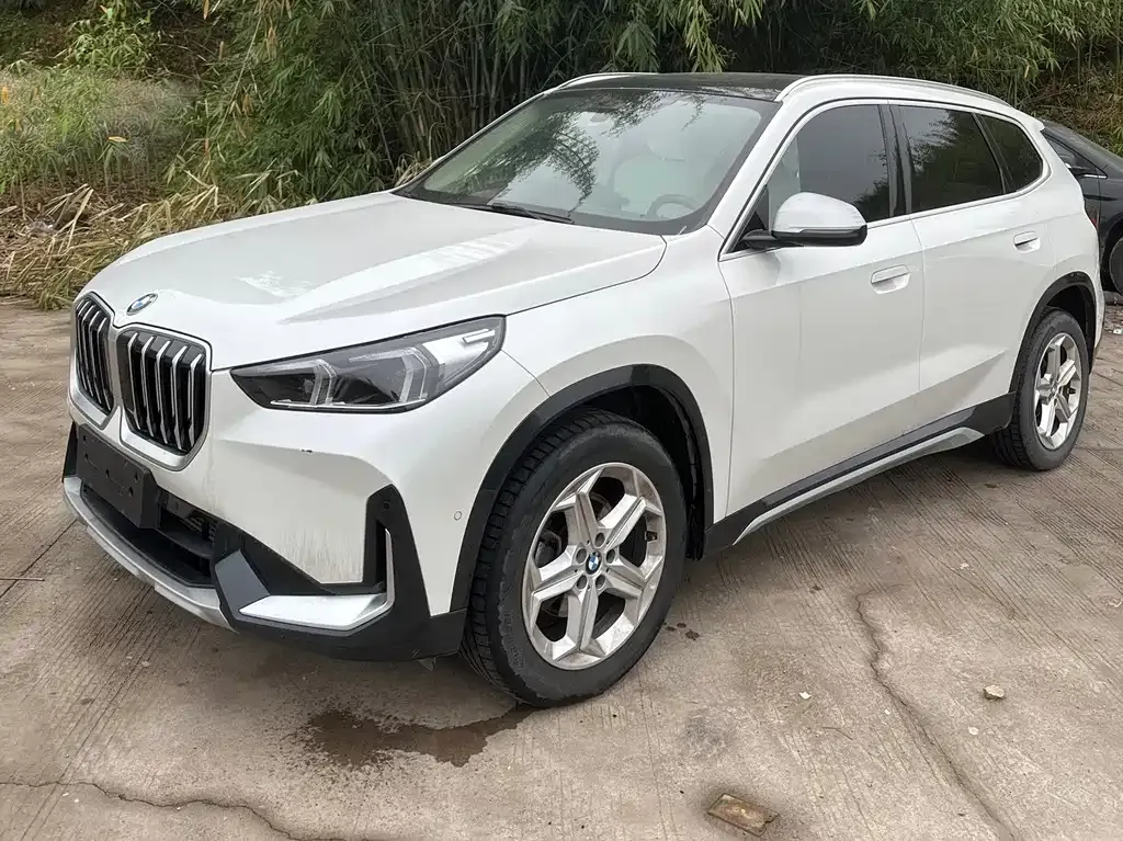 BMW X1 — фото 1