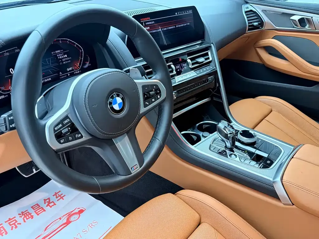 BMW 8 Series — фото 9