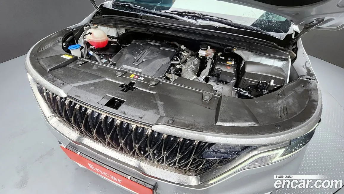 Kia Carnival — фото 10