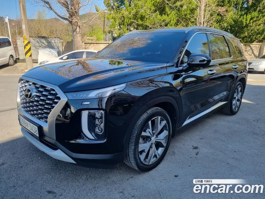 Hyundai Palisade — фото 7