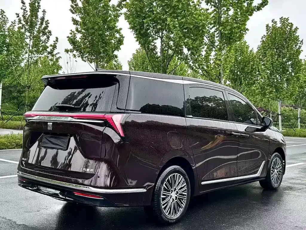Buick GL8 Hybrid — фото 7