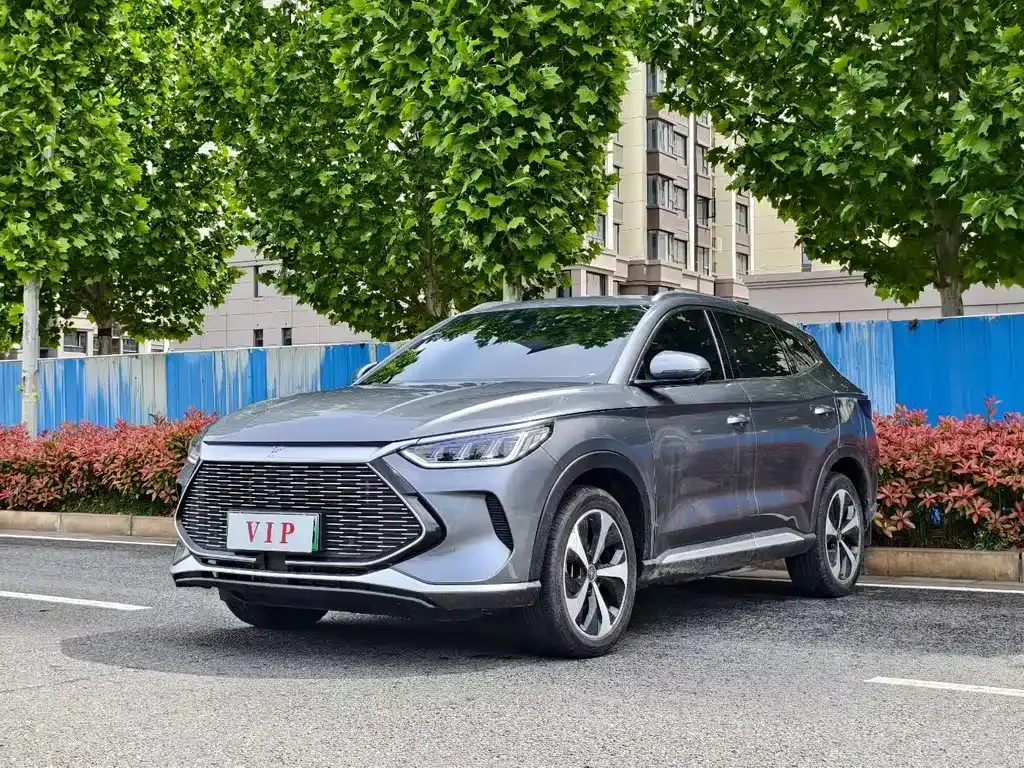 BYD PLUS New Energy — фото 1