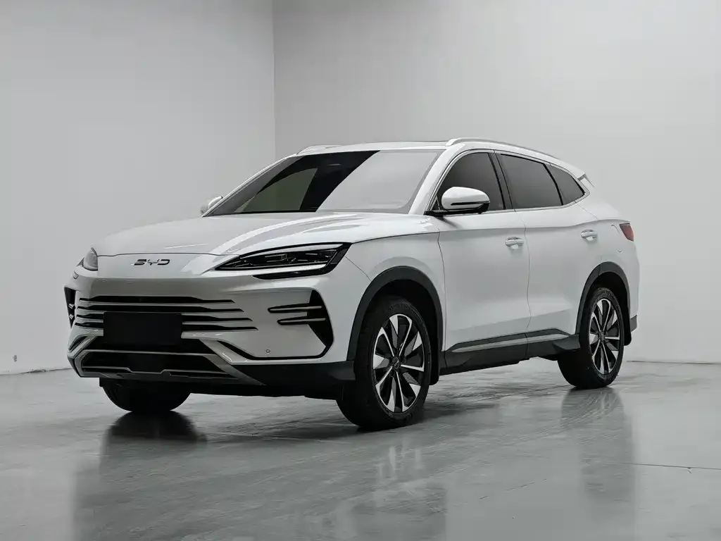 BYD PLUS New Energy — фото 1