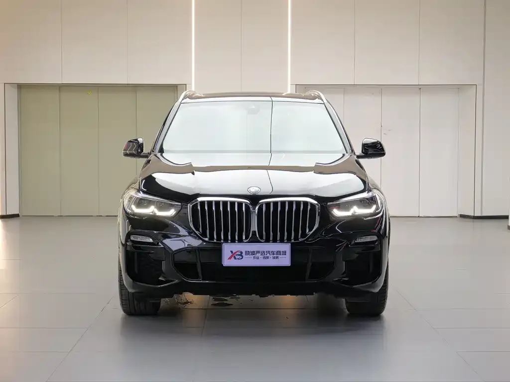 BMW X5 (Import) — фото 2