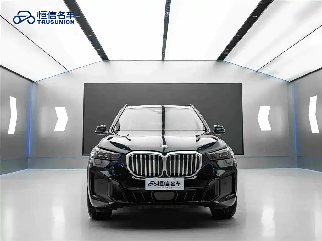 BMW X5 — фото 6