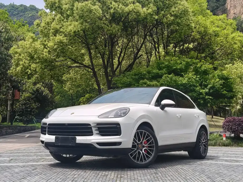 Porsche Cayenne — фото 1