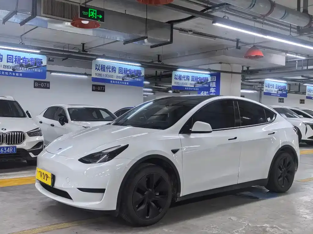 Tesla Model Y — фото 1