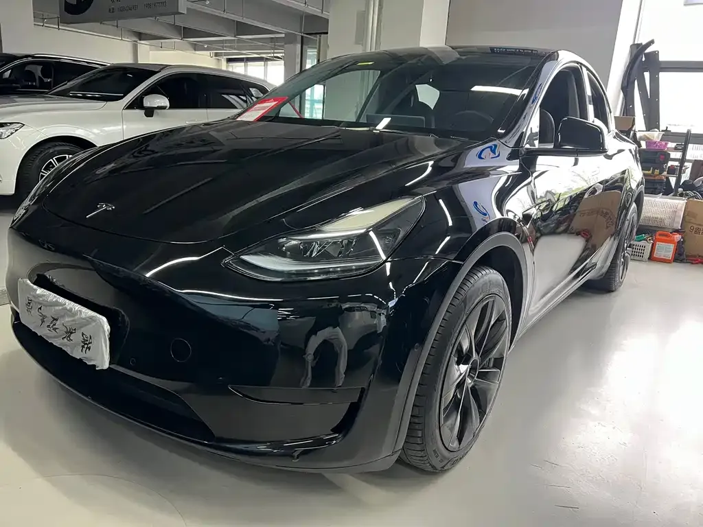 Tesla Model Y — фото 1