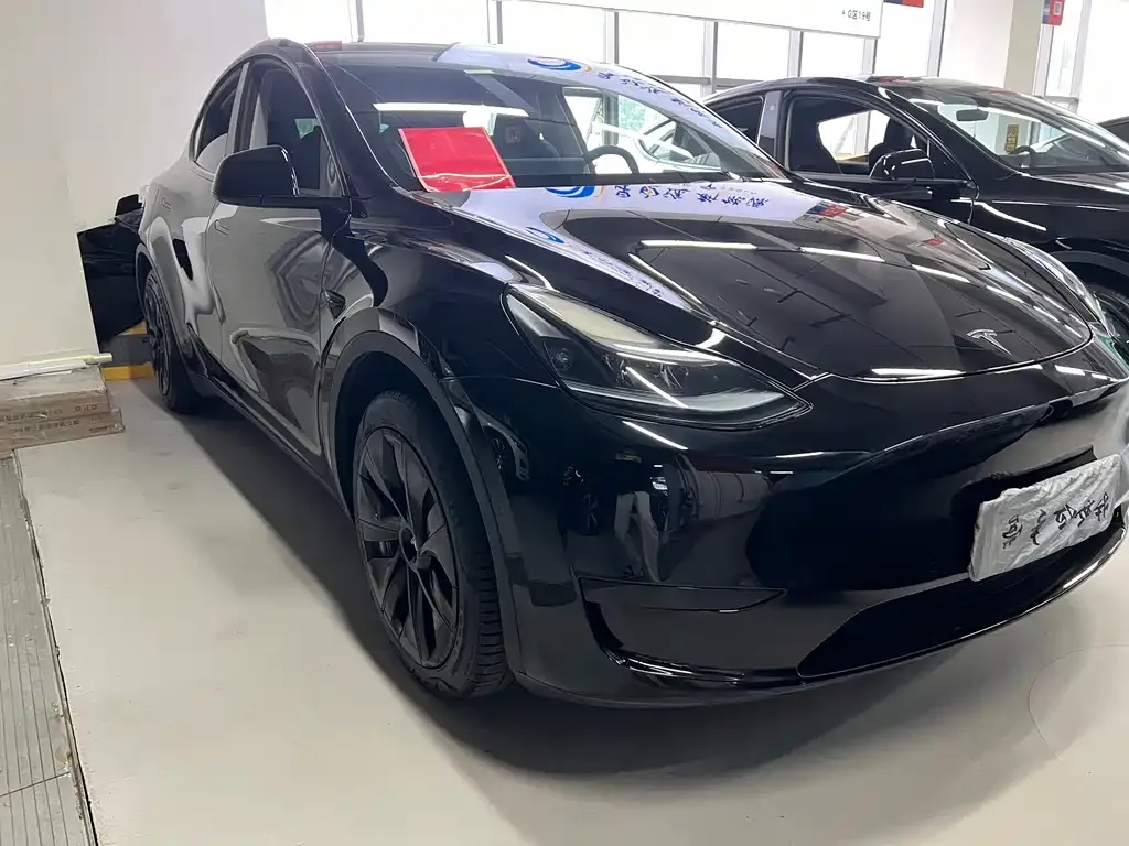 Tesla Model Y — фото 7