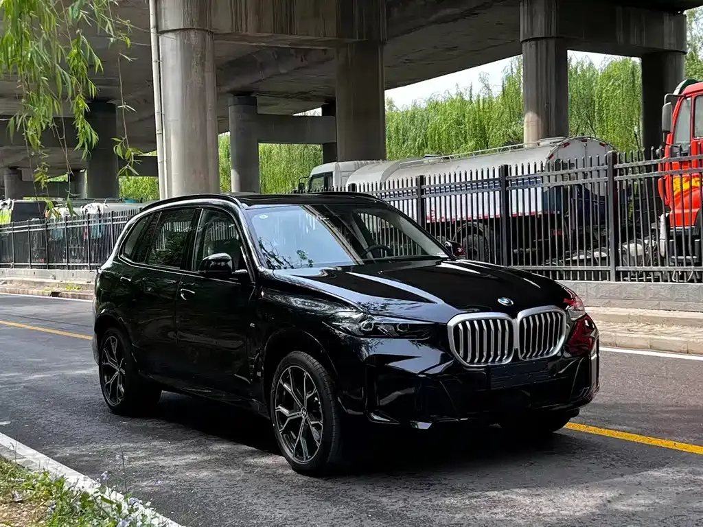 BMW X5 — фото 7