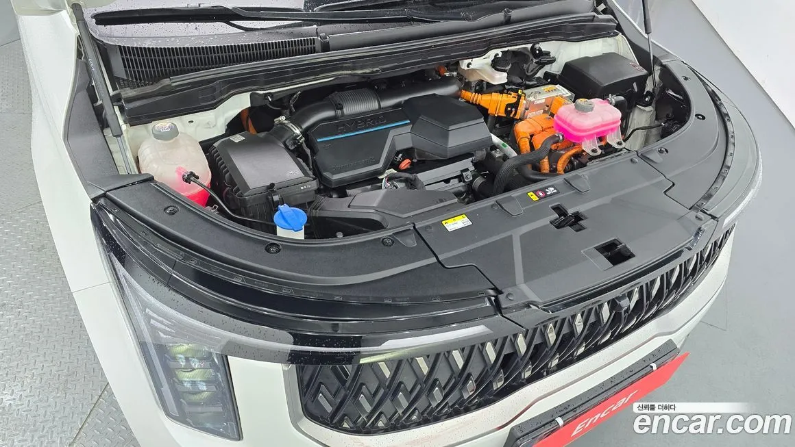 Kia Carnival — фото 10
