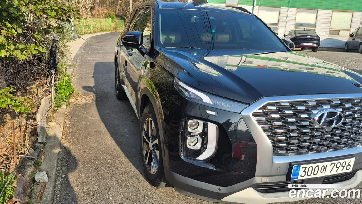 Hyundai Palisade — фото 1