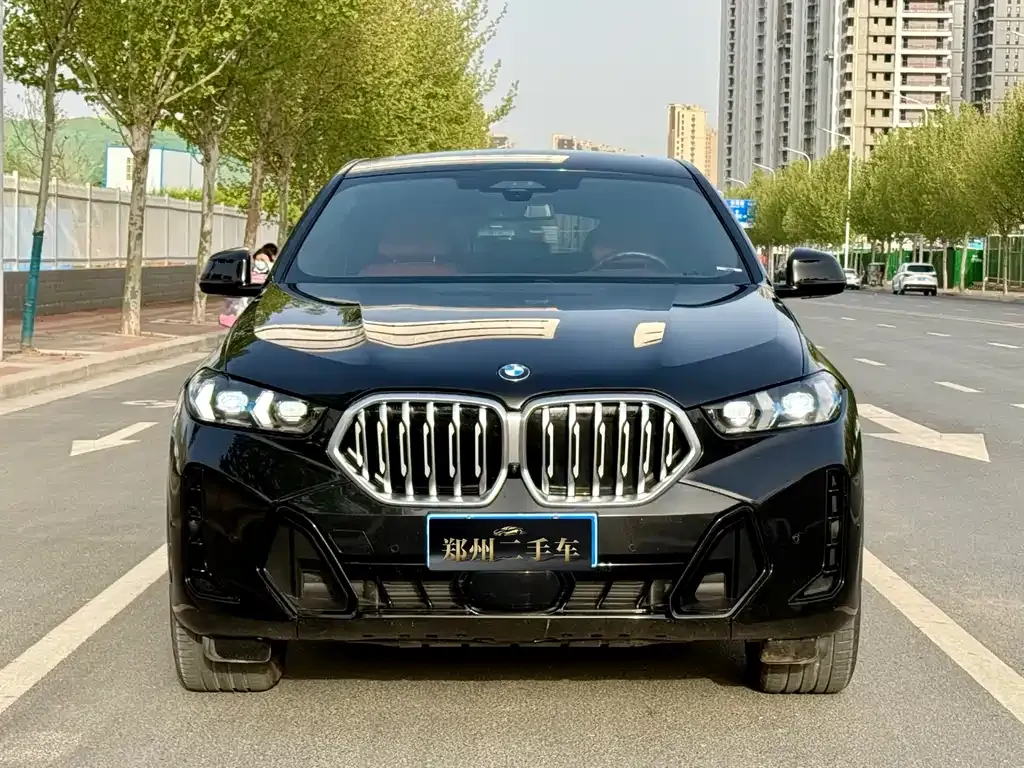 BMW X6 — фото 4