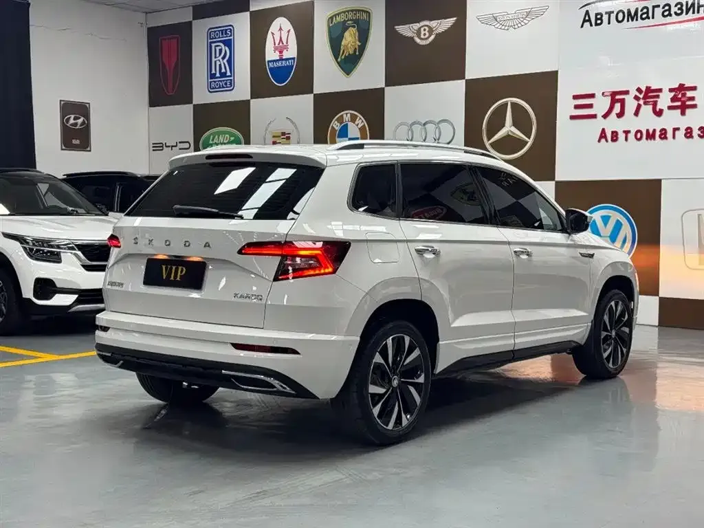 Skoda Karoq — фото 5