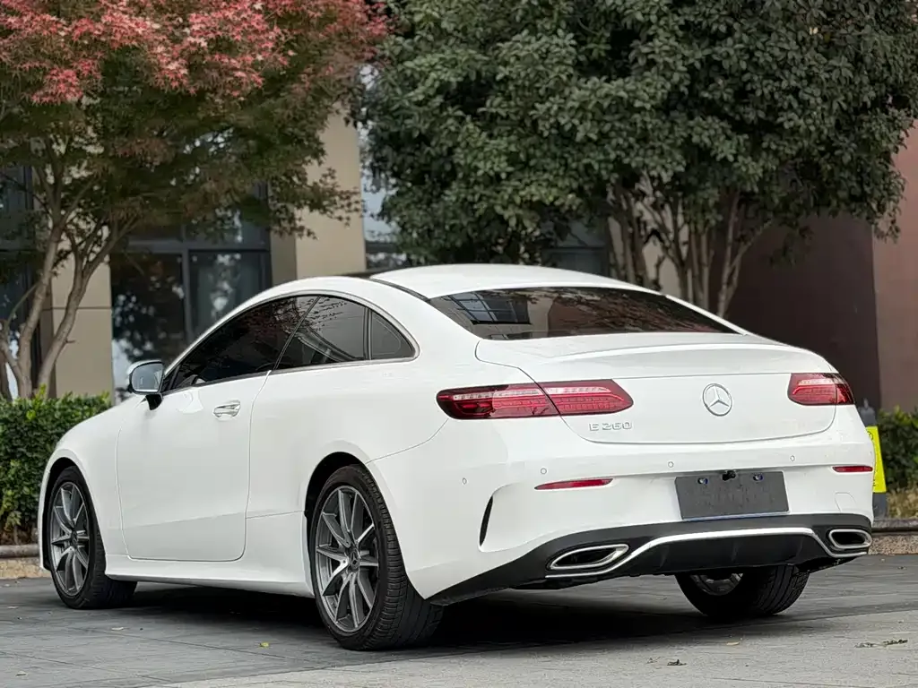 Mercedes-Benz E-Class (Import) — фото 6