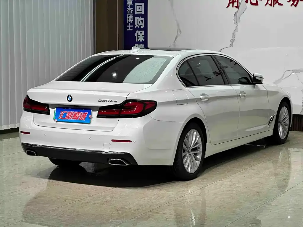 BMW 5 Series New Energy — фото 7