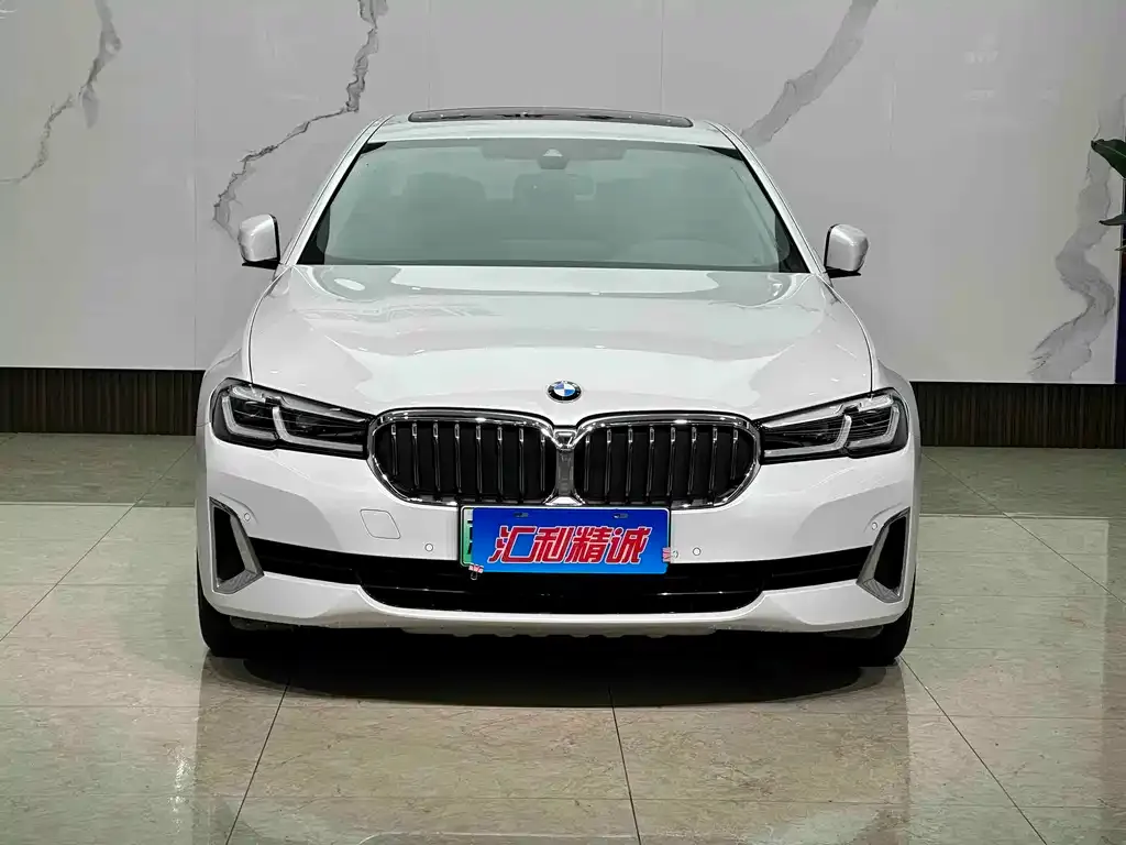 BMW 5 Series New Energy — фото 4