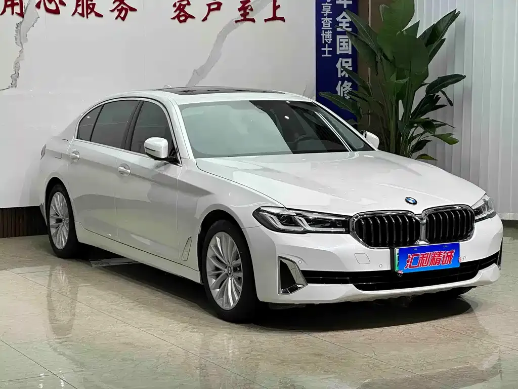 BMW 5 Series New Energy — фото 10
