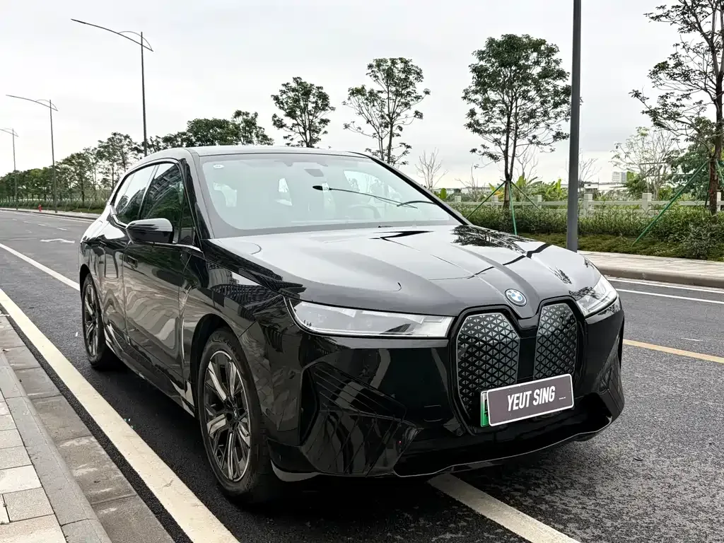 BMW iX — фото 1