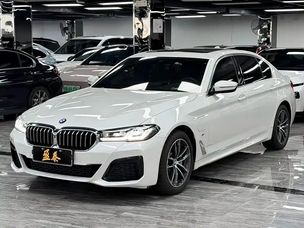 BMW 5 Series New Energy — фото 1