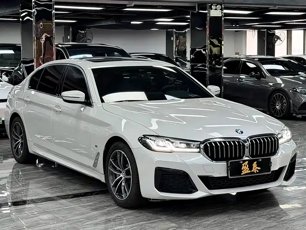 BMW 5 Series New Energy — фото 5