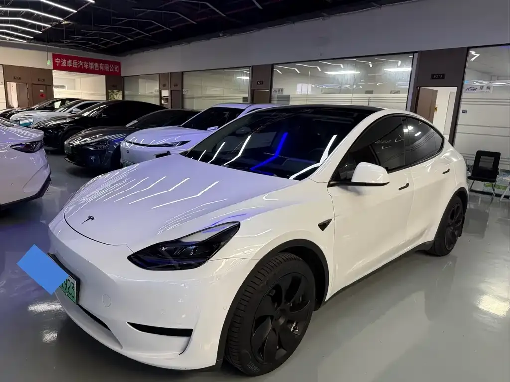 Tesla Model Y — фото 1