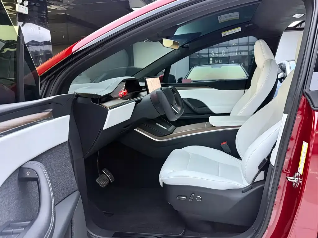 Tesla Model X — фото 10