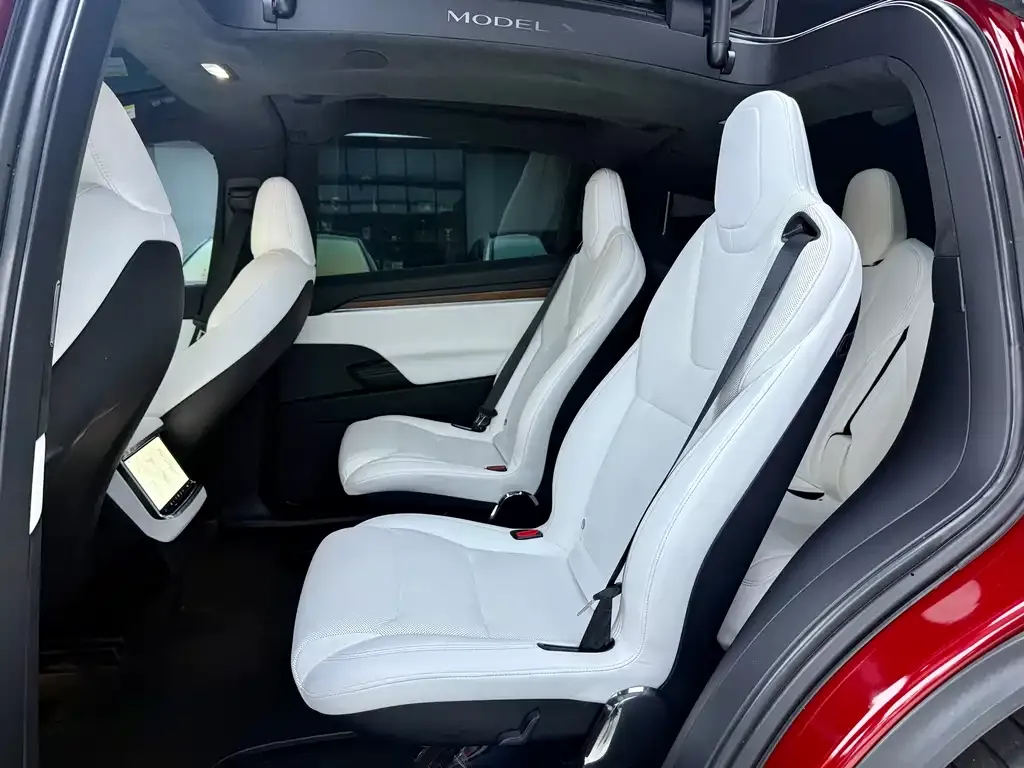 Tesla Model X — фото 6