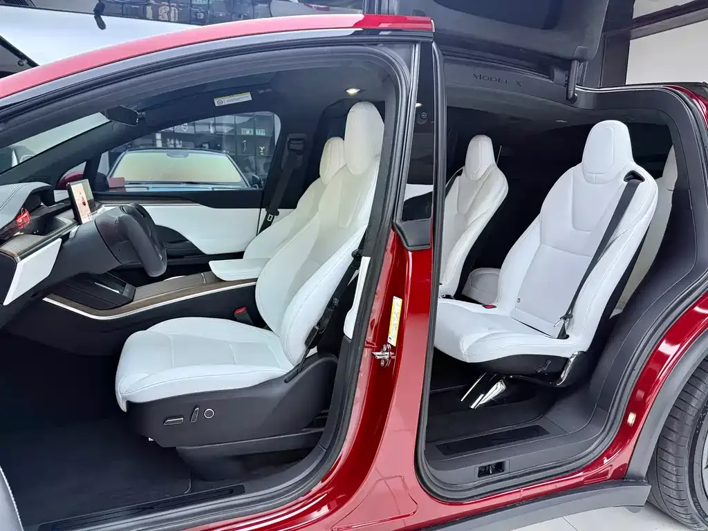 Tesla Model X — фото 7