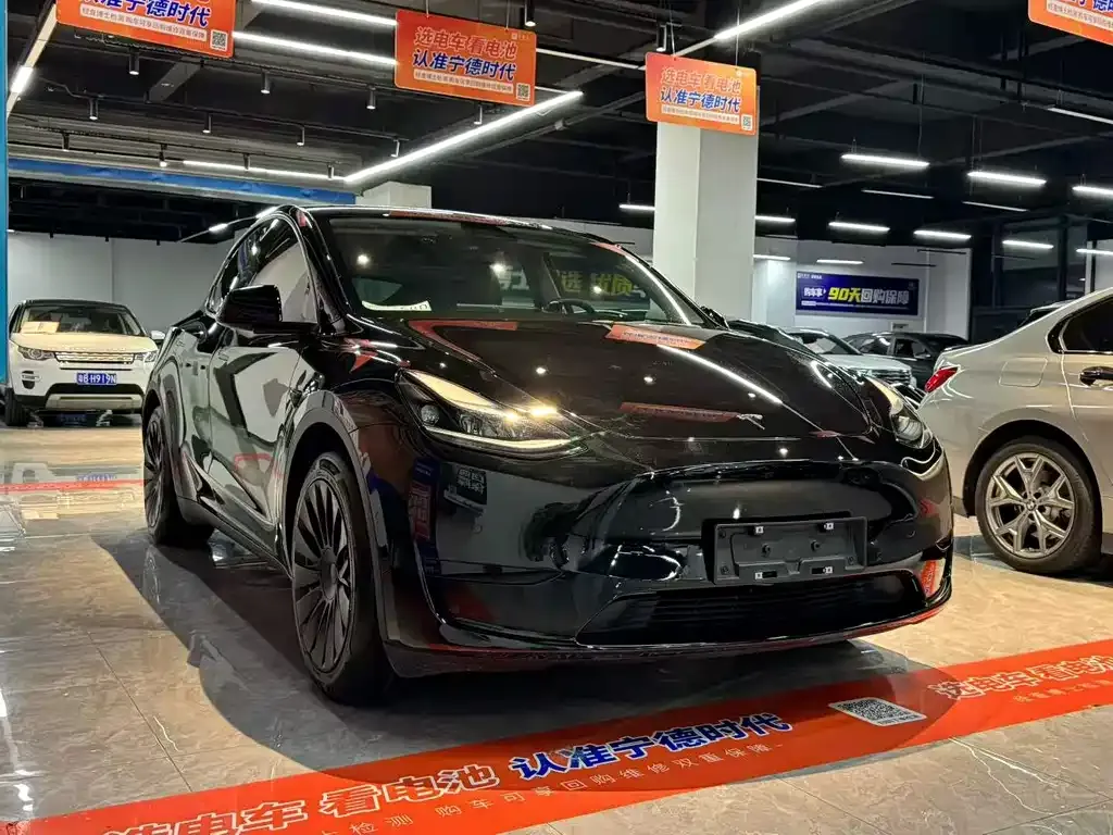 Tesla Model Y — фото 8
