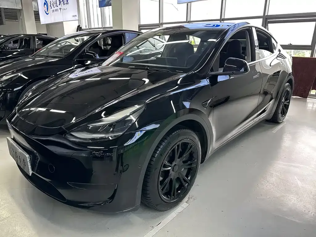 Tesla Model Y — фото 1