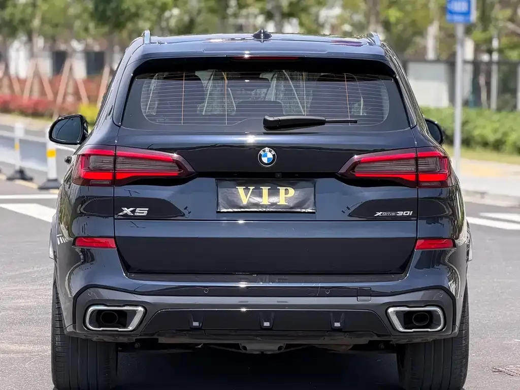 BMW X5 (Import) — фото 5