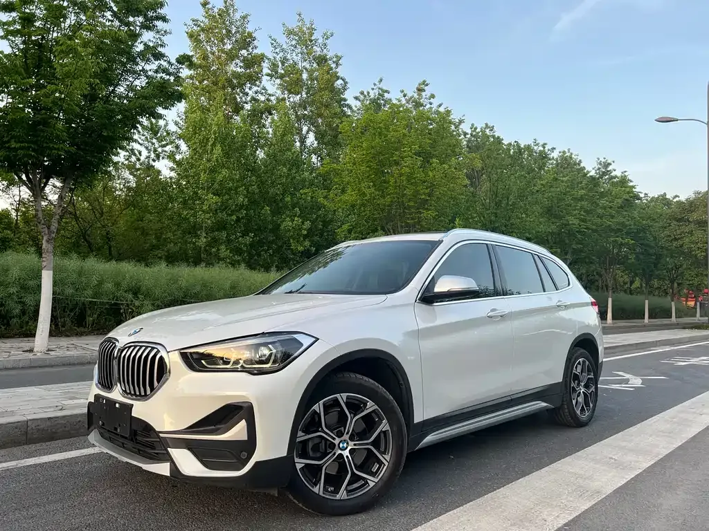 BMW X1 — фото 1