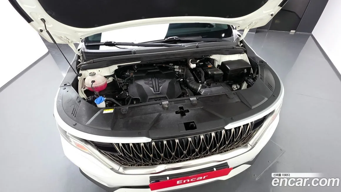 Kia Carnival — фото 10
