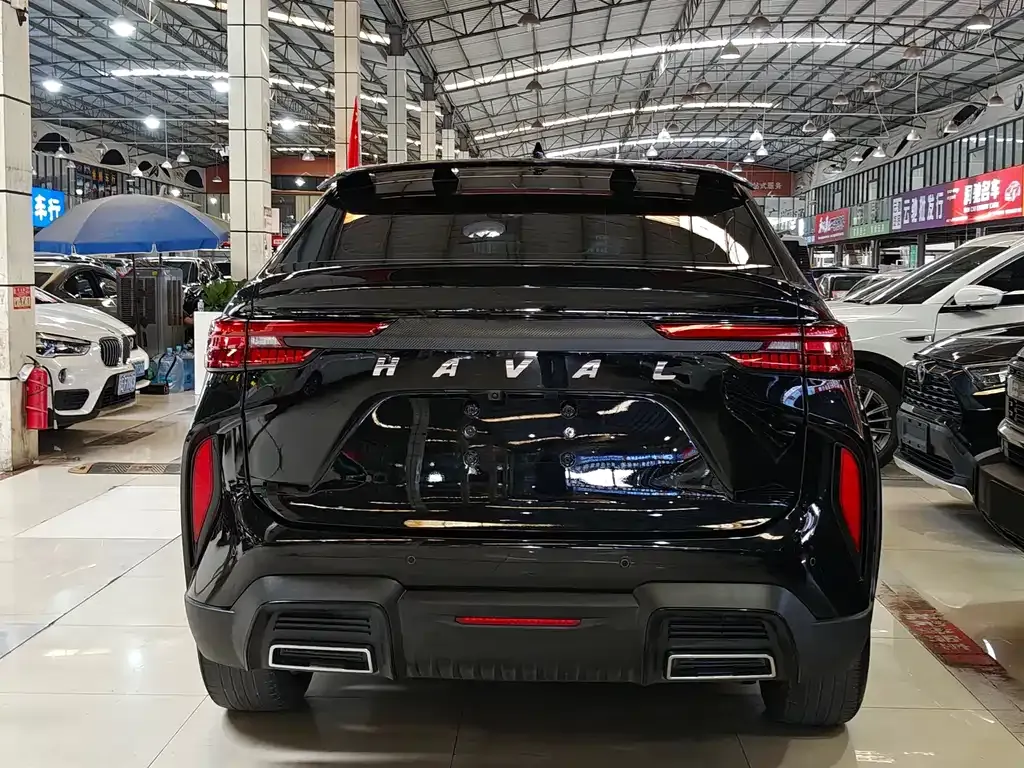 Haval H6S — фото 6