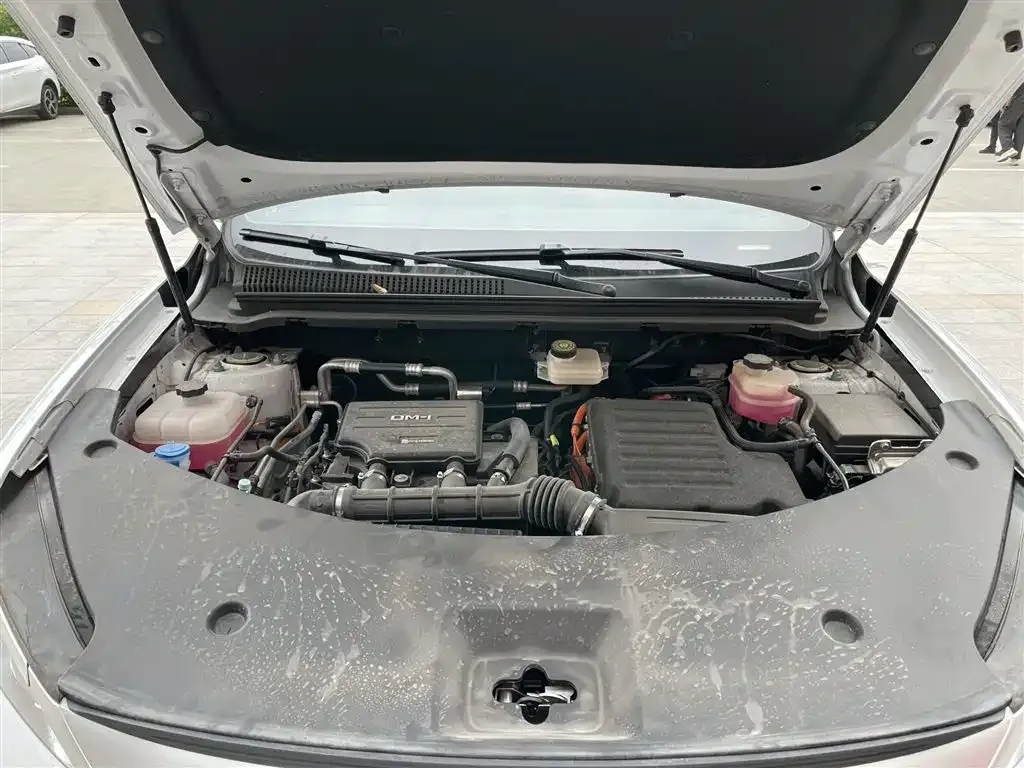 BYD Pro New Energy — фото 7