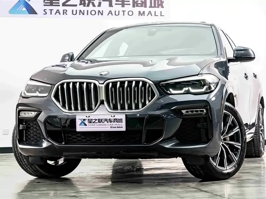 BMW X6 — фото 10