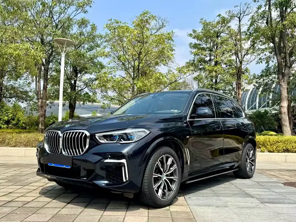 BMW X5 — фото 1