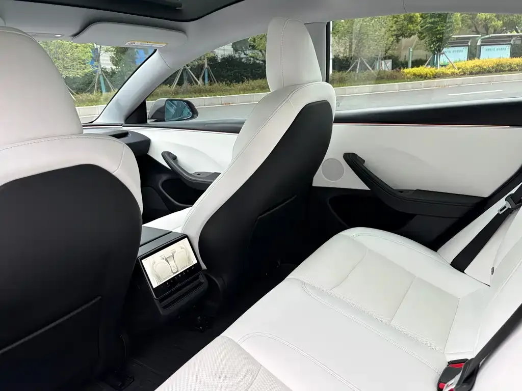 Tesla Model 3 — фото 2