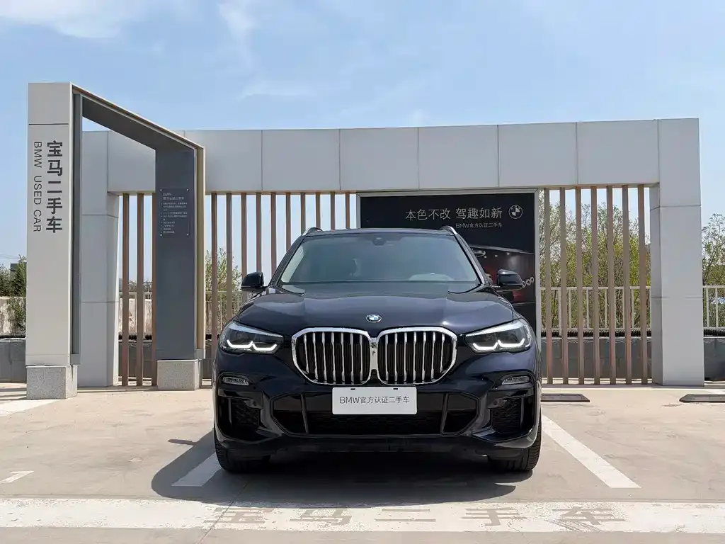BMW X5 (Import) — фото 10